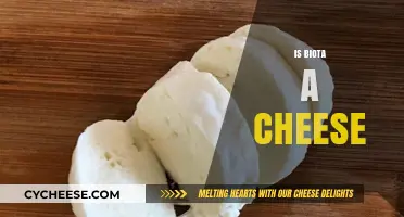 Is Biota a Cheese? Unraveling the Mystery of This Unique Food
