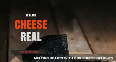 Unveiling the Mystery: Is Black Cheese Real or Just a Myth?
