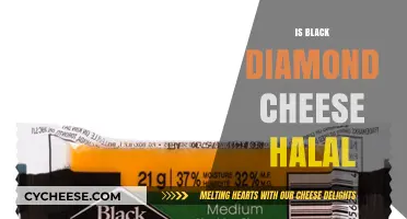 Is Black Diamond Cheese Halal? Exploring Ingredients and Certification