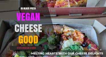 Vegan Cheese: Blaze Pizza's Delicious Dairy-Free Option