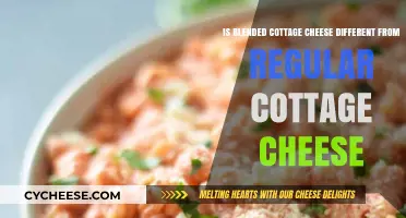 Blended vs. Regular Cottage Cheese: Texture, Taste, and Nutrition Compared