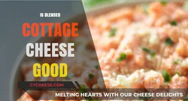 Is Blended Cottage Cheese Good? Nutrition, Benefits, and Uses Explained
