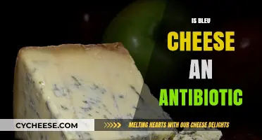 Blue Cheese as Antibiotic: Fact or Fiction? Unraveling the Truth