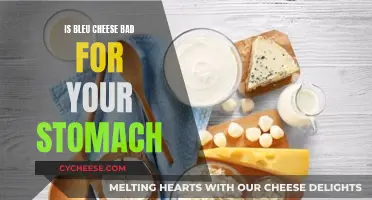 Bleu Cheese: Friend or Foe to Your Stomach?