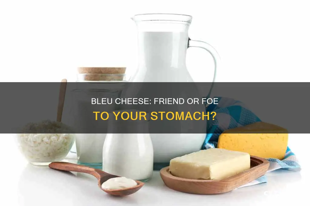 is bleu cheese bad for your stomach