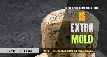 Bleu Cheese Mold: When to Toss It?