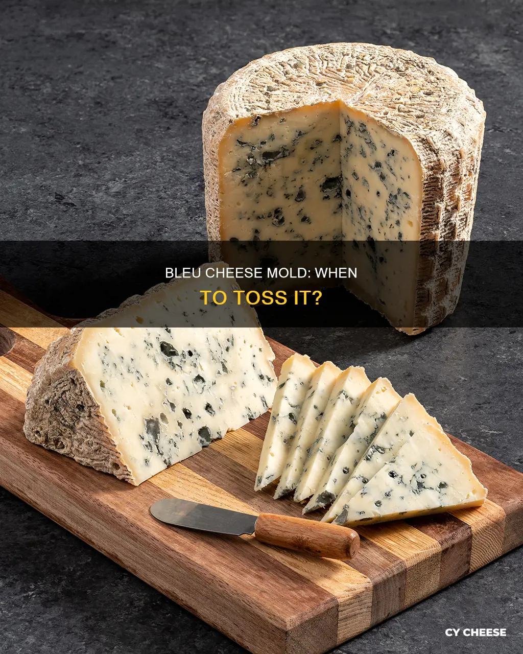 is bleu cheese bad when there is extra mold