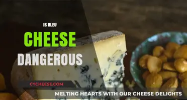 Is Bleu Cheese Dangerous? Unraveling Myths and Health Concerns