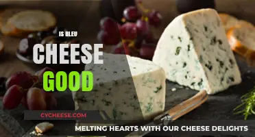 The Delicious Debate: Is Blue Cheese Worthy?