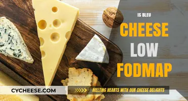 Is Bleu Cheese Low FODMAP? A Digestive-Friendly Cheese Guide