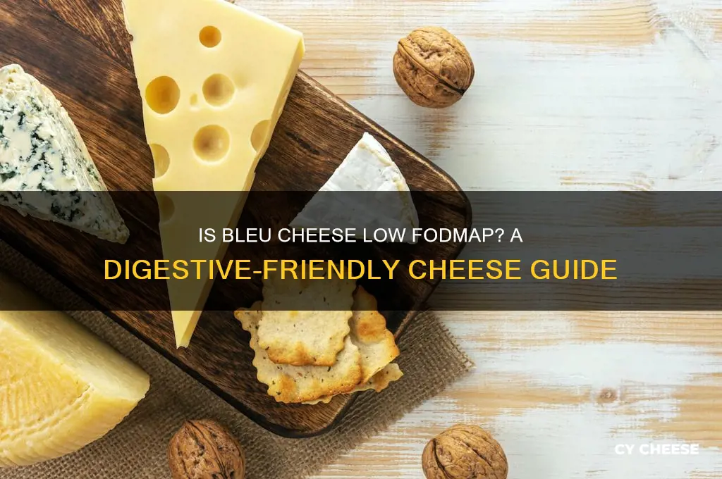 is bleu cheese low fodmap
