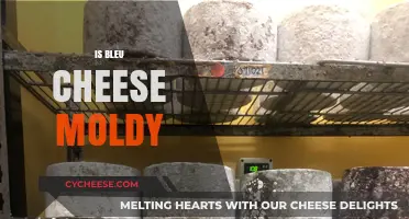Is Bleu Cheese Moldy? Unraveling the Truth Behind Its Unique Texture