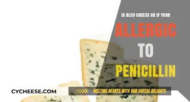 Bleu Cheese and Penicillin Allergies: What You Need to Know