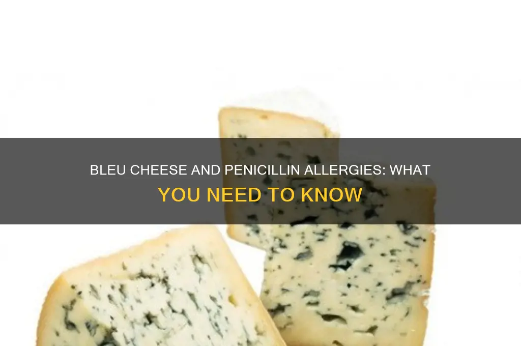 is bleu cheese ok if your allergic to penicillin