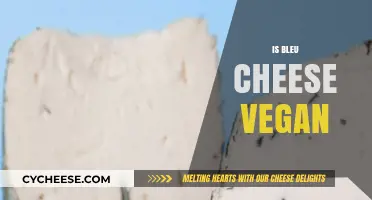 Is Bleu Cheese Vegan? Unraveling the Dairy Dilemma for Plant-Based Eaters