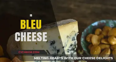 Is Bleu Cheese Worth the Hype? A Tasty Debate Unveiled