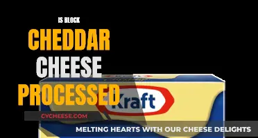 Unveiling the Mystery: Is Block Cheddar Processed?