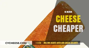 Is Block Cheese Cheaper? Cost Comparison and Savings Tips