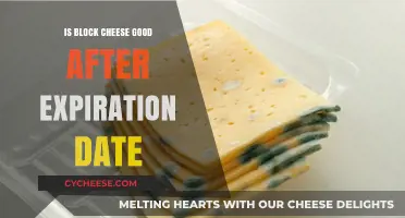 Cheese Expiration: Can You Eat Block Cheese After Expiry?