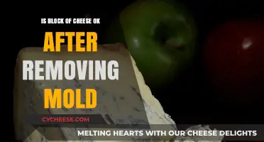 Can You Safely Eat Moldy Cheese After Cutting It Off?