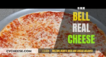 Blue Bell: Real Cheese or Not?