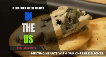 Blue Brain Cheese: Legal in the US?