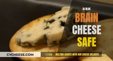 Blue Brain Cheese: Is It Safe to Eat?