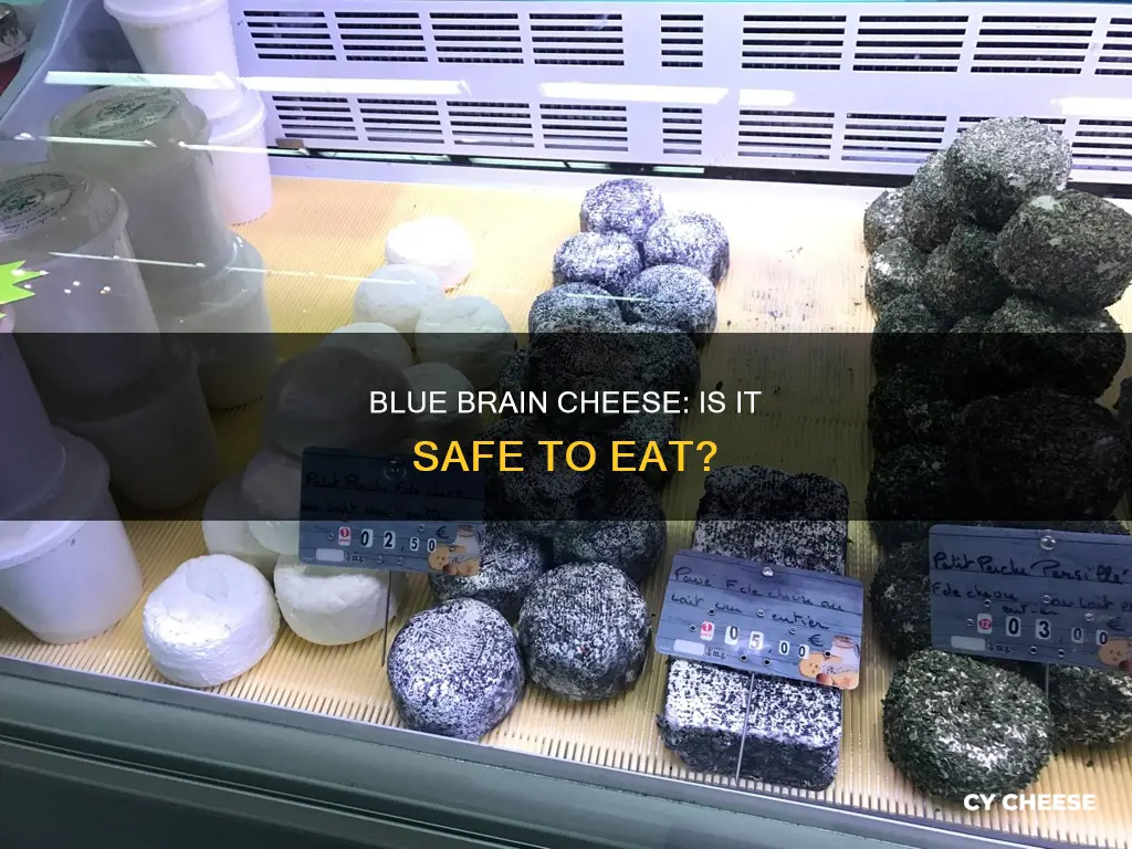 is blue brain cheese safe