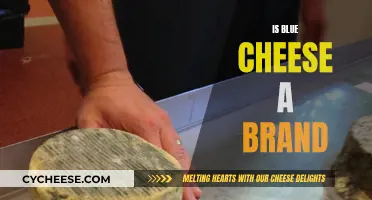 Blue Cheese: Brand or Type?