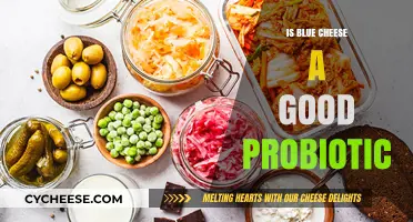 Blue Cheese: A Natural Probiotic Superfood?