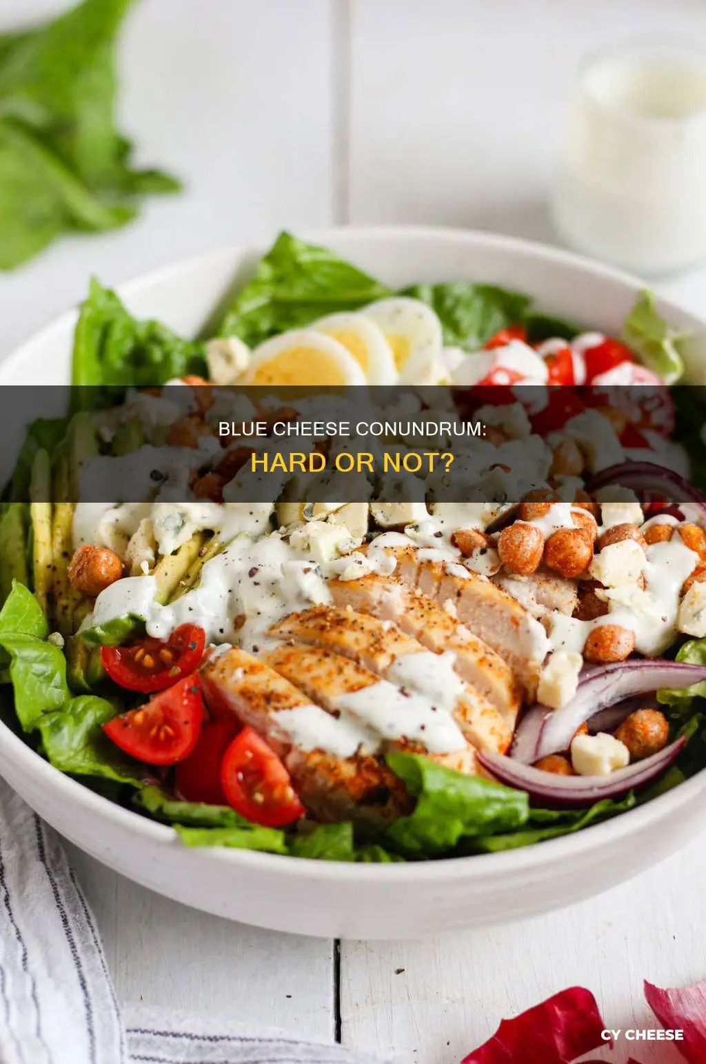 is blue cheese a hard cheese