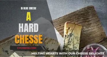 Blue Cheese Hardness: Is Blue Cheese Truly Hard?