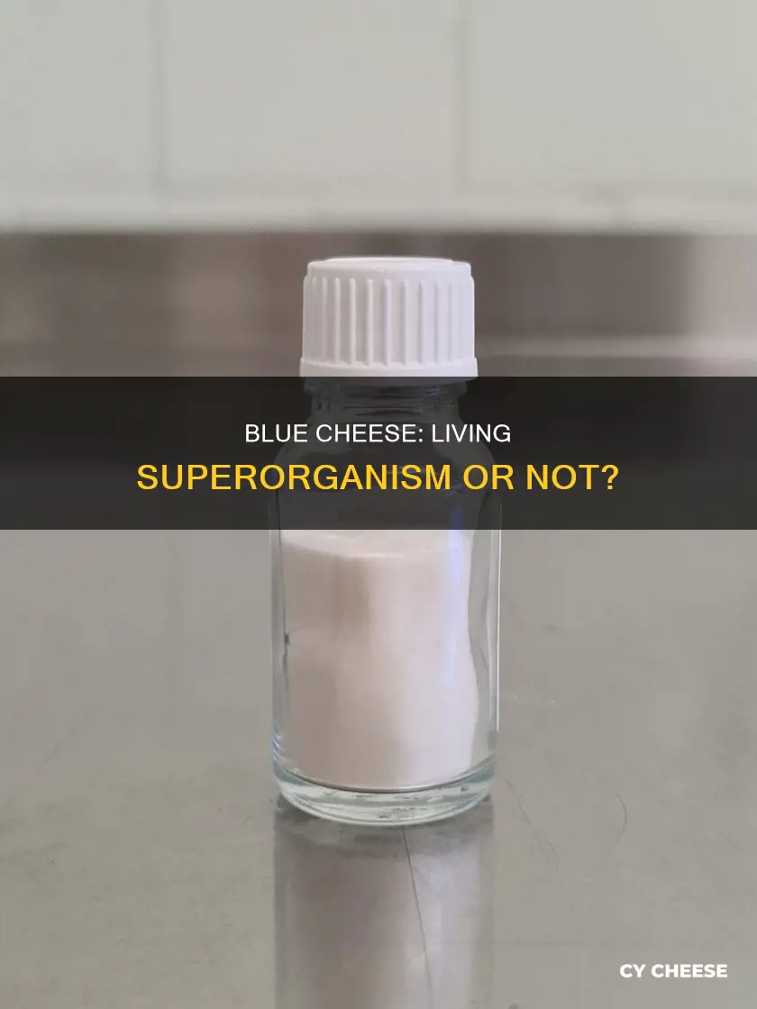 is blue cheese a living organism