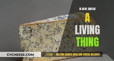 The Mystery Behind Blue Cheese: Living or Not?
