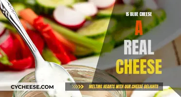 Blue Cheese: A Real Cheese or Just a Myth?