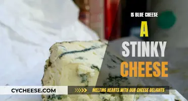 Blue Cheese: A Stinky Delight or Not?