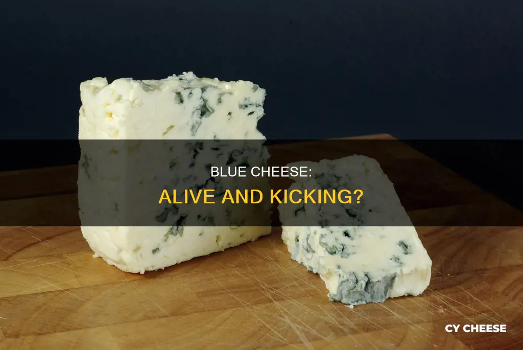 is blue cheese alive