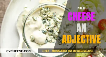 The Blue Cheese Conundrum: Adjective or Not?