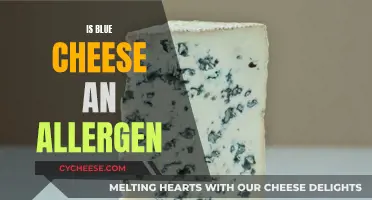 Blue Cheese Allergens: What You Need to Know