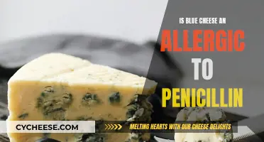 Blue Cheese Consumption: A Concern for Penicillin Allergics?