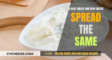 Blue Cheese and Spread: What's the Difference?