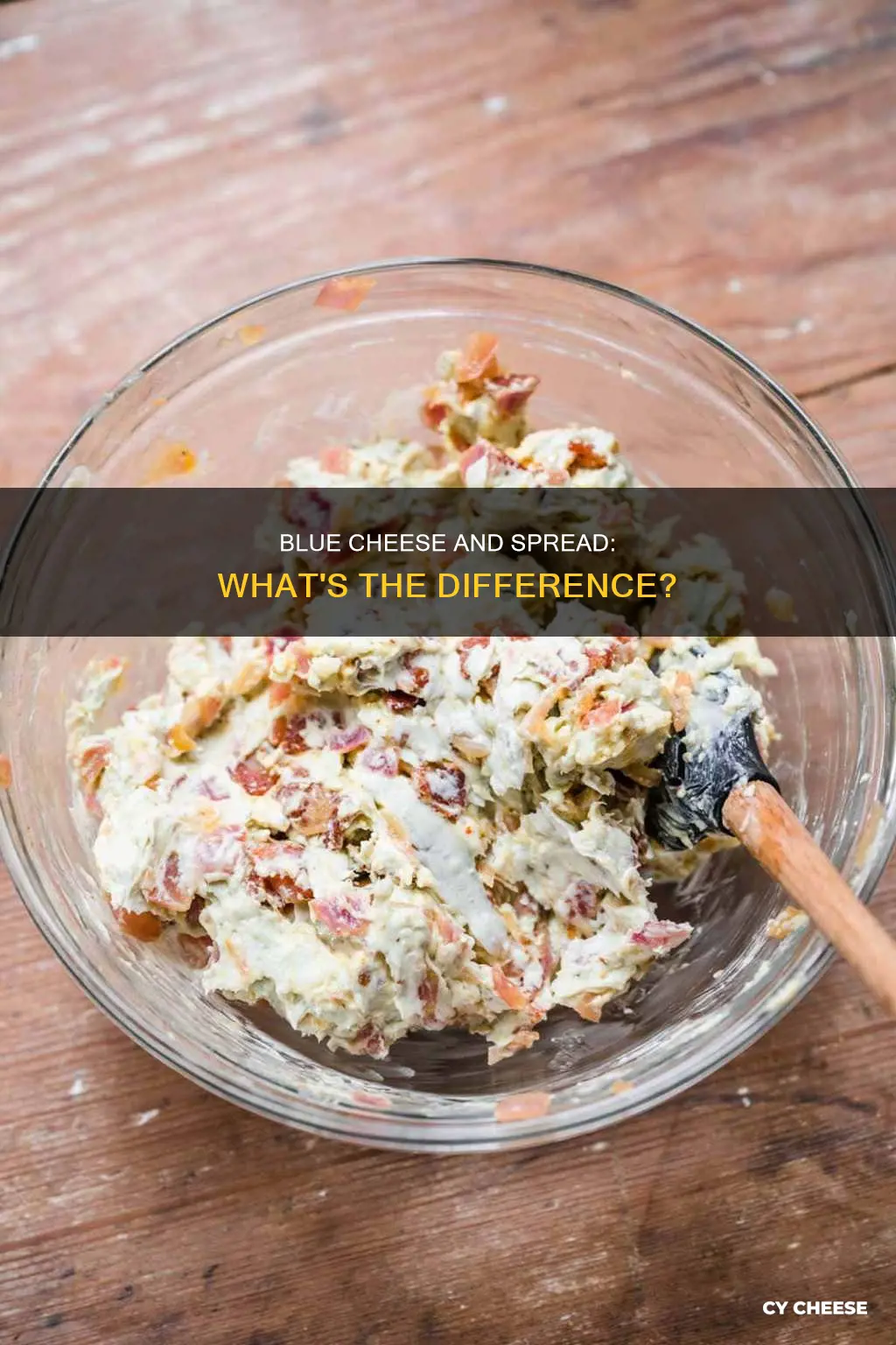 is blue cheese and blue cheese spread the same