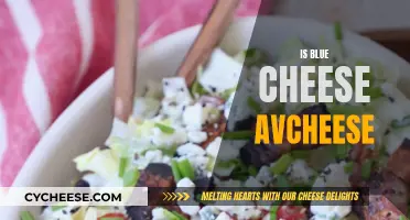 Blue Cheese: A Unique, Pungent, and Controversial Treat
