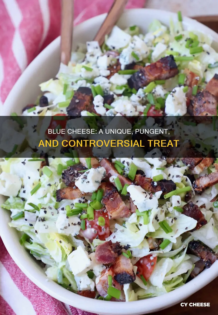 is blue cheese avcheese