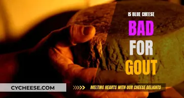 Blue Cheese and Gout: A Dangerous Combination?