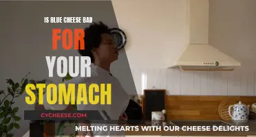 Blue Cheese: Friend or Foe to Your Stomach?