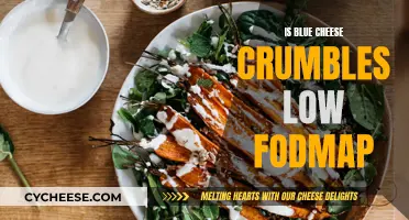 Blue Cheese Crumbles: A Low-FODMAP Diet Option?