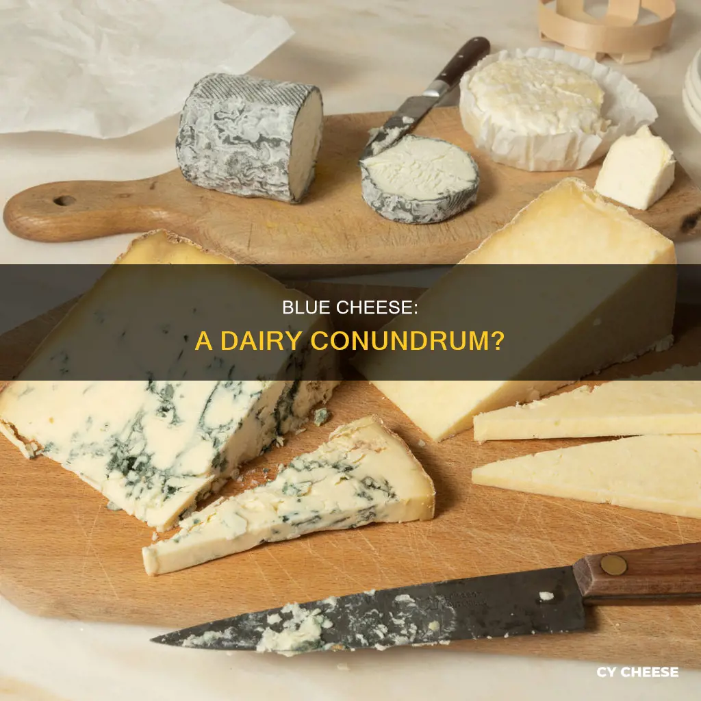 is blue cheese dairy