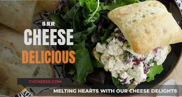 Blue Cheese: Delicious or Disgusting?