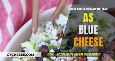 Blue Cheese and Dressing: What's the Difference?